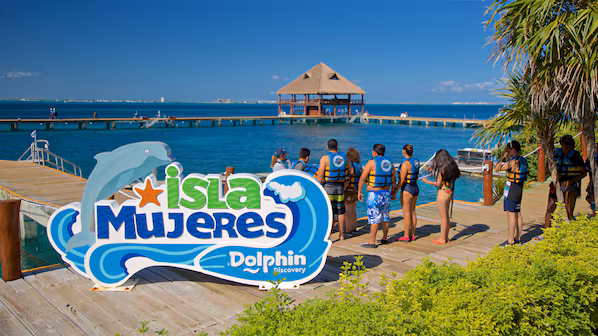 Dolphin Discovery near Secrets Playa Mujeres Golf & Spa Resort offering interactive dolphin experiences on Isla Mujeres