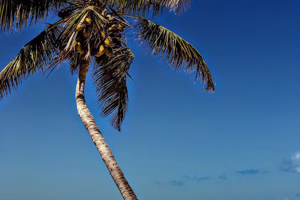 Mujeres Beach near Secrets Playa Mujeres Golf & Spa Resort with soft white sand and Caribbean views